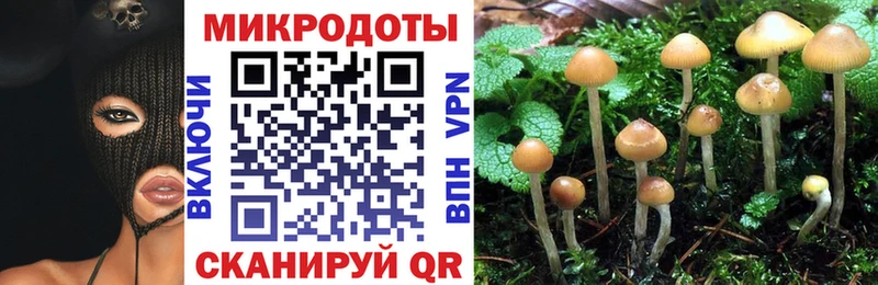 Купить  Льгов  Псилоцибиновые грибы MAGIC MUSHROOMS 