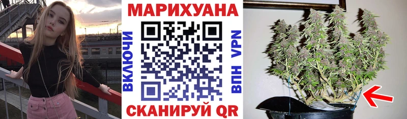 Купить закладки  Льгов  Конопля тримм 